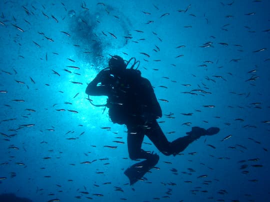 Hacemos tu idea web una realidad